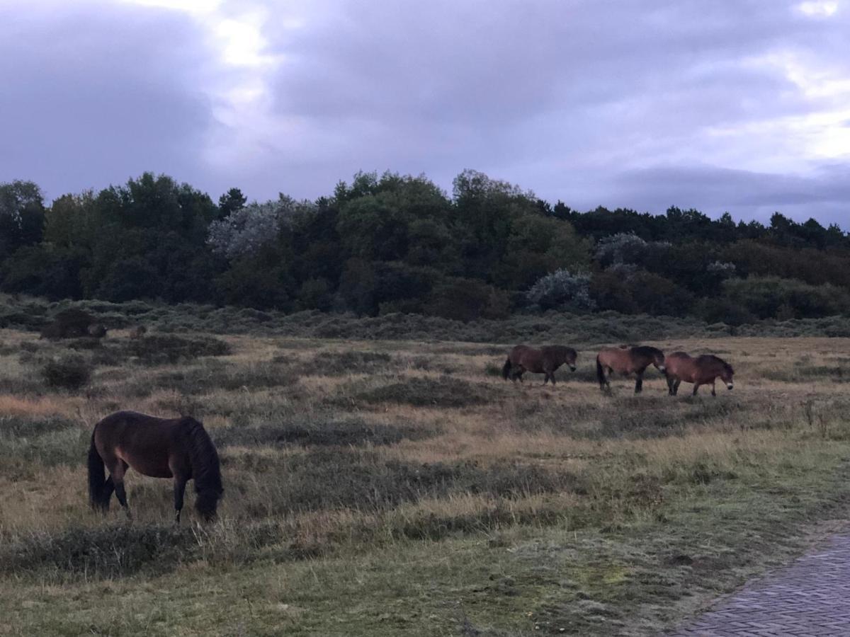 Familiehuis Achter De Duijnhoeve Bakkum Zuidbakkum Exterior foto
