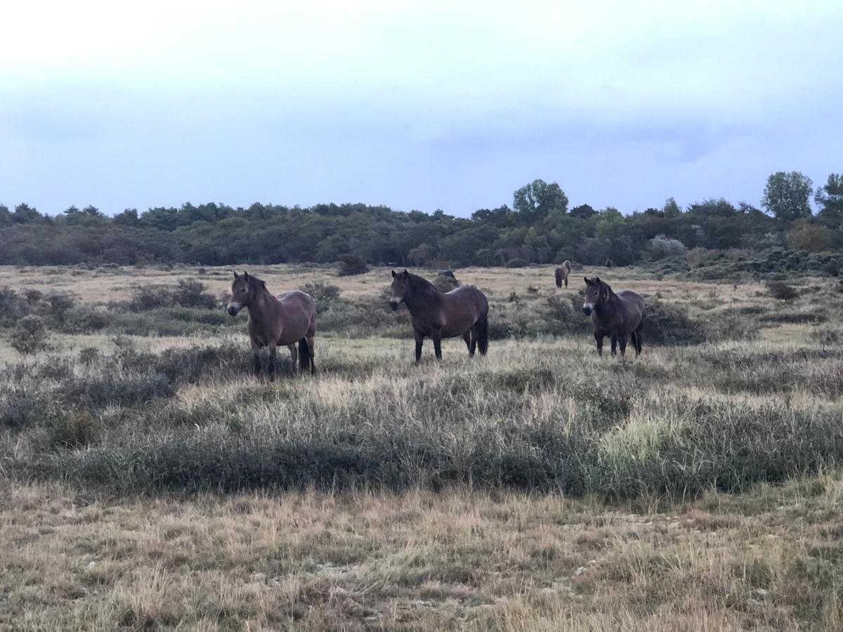 Familiehuis Achter De Duijnhoeve Bakkum Zuidbakkum Exterior foto